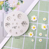 Daisy Resin Mold ,Daisy Silicone, Chocolate Mold, Craft Mold DIY, Clay Mold, Candy Mold, Cupcake Decorating, Soap Making, Clay Fondant Mold