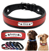 Personalized Leather Dog Collar, Custom Dog Collar with Name Plate, Engraved Dog Collar, Leather Dog Collar, Small Medium Large Dogs