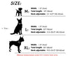 Personalized Leather Dog Collar, Custom Dog Collar with Name Plate, Engraved Dog Collar, Leather Dog Collar, Small Medium Large Dogs
