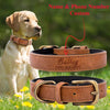 Personalized Leather Dog Collar, Custom Dog Collar with Name Plate, Engraved Dog Collar, Leather Dog Collar, Small Medium Large Dogs