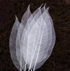 100 Pcs Skeleton Leaves - White Natural Flower Making Floral Scrapbook Craft Wedding Card - Paper Rubber Leaves - Craft Leaves