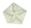 Star Fish Silicone Mold For Resin, Coral Diy Crafts, Candy, Fondant, Resin Epoxy Craft Mould Gumpaste Making Diy Craft Tool, Cake Decorating