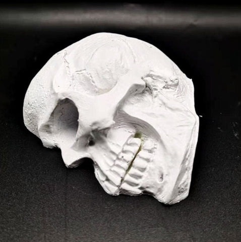 2D Half Skull Silicone Mold, Silicone Mold, Resin Mold, Cake Mold, Chocolate Mold, Soap Mold, Candle Plaster Decoration Tools, Polymer Clay