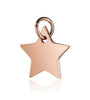 Small Star Charm - Dainty Gold Silver Rose Gold Mini Star Add On Charm - Dainty Star - Love Inspired Gold Star Pendant Jewelry Making