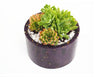 Succulent Flower Pot Silicone Mold, Flower Pot Resin Mold, Planter Mold, Round Pot Mold, Cylindrical Resin Mold, DIY Home Decoration