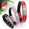 Custom Cat Collar, Personalized Pet Collars for Kittens, Boy Girl Cat Collar, Diamond Collar with Name, Breakaway Adjustable Strap