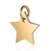 Small Star Charm - Dainty Gold Silver Rose Gold Mini Star Add On Charm - Dainty Star - Love Inspired Gold Star Pendant Jewelry Making