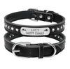 Custom Cat Collar, Personalized Pet Collars for Kittens, Boy Girl Cat Collar, Diamond Collar with Name, Breakaway Adjustable Strap