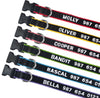 Personalized Collar, Custom Dog Collar Embroidered with Pet Name Phone Number, Pet Collar, Personalized Dog Collar, Small Medium Large Dogs