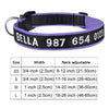 Personalized Collar, Custom Dog Collar Embroidered with Pet Name Phone Number, Pet Collar, Personalized Dog Collar, Small Medium Large Dogs
