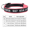Personalized Collar, Custom Dog Collar Embroidered with Pet Name Phone Number, Pet Collar, Personalized Dog Collar, Small Medium Large Dogs