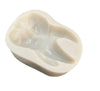 Teeth Mold, Chocolate Mold, Candy Mold, Soap Embeds Mold, Dentist Graduation Mold, Resin Mold, Molar Tooth Bath Bomb Mold, Soap Making DIY