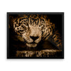 Jaguar Leopard Framed Wall Photo Art Decoration