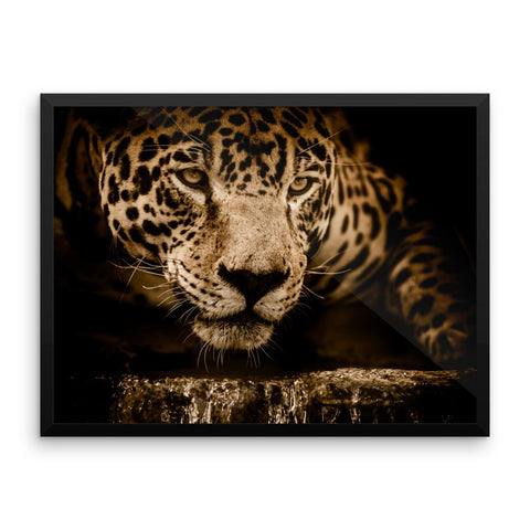 Jaguar Leopard Framed Wall Photo Art Decoration