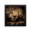 Jaguar Leopard Framed Wall Photo Art Decoration