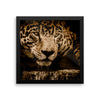Jaguar Leopard Framed Wall Photo Art Decoration