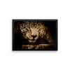 Jaguar Leopard Framed Wall Photo Art Decoration