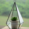Lawn & Patio - LightningStore Bonsai Modern Glass Geometric Terrarium Pyramid Succulent Box Planter Flower Pot Eco Bottle Miniature Miero Landscape Vivaria Plants Pot