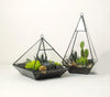 Lawn & Patio - LightningStore Bonsai Modern Glass Geometric Terrarium Pyramid Succulent Box Planter Flower Pot Eco Bottle Miniature Miero Landscape Vivaria Plants Pot