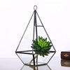 Lawn & Patio - LightningStore Bonsai Modern Glass Geometric Terrarium Pyramid Succulent Box Planter Flower Pot Eco Bottle Miniature Miero Landscape Vivaria Plants Pot
