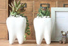 Lawn & Patio - LightningStore Ceramic White Tooth Teeth Succulent Plants Pot Microlandschaft Personalized Office House Balcony Landscape Pot Creative Decorative Flower Pots