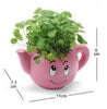 Lawn & Patio - LightningStore Cute Blue Pink Yellow Green Happy Angry Face Flower Plant Tea Pot Succulent Box Planter Flower Pot Eco Bottle Miniature Miero Landscape Vivaria Plants Pot