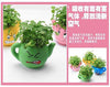 Lawn & Patio - LightningStore Cute Blue Pink Yellow Green Happy Angry Face Flower Plant Tea Pot Succulent Box Planter Flower Pot Eco Bottle Miniature Miero Landscape Vivaria Plants Pot