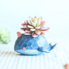 Lawn & Patio - LightningStore Cute Blue Whale Elephant Dinosaur Unicorn Alligator Crocodile White Succulent Plants Pot Personalized Office House Balcony Landscape Creative Decorative Flower + Mini-Figure Set