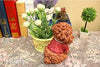 Lawn & Patio - LightningStore Cute Brown Poodle Yellow Flower Pot Succulent Plants Pot Microlandschaft Personalized Office House Balcony Landscape Pot Creative Decorative Flower Pots