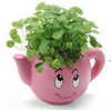 Lawn & Patio - LightningStore Cute Green Pink Blue Yellow Happy Angry Face Flower Plant Tea Pot Succulent Box Planter Flower Pot Eco Bottle Miniature Miero Landscape Vivaria Plants Pot