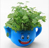 Lawn & Patio - LightningStore Cute Green Pink Blue Yellow Happy Angry Face Flower Plant Tea Pot Succulent Box Planter Flower Pot Eco Bottle Miniature Miero Landscape Vivaria Plants Pot