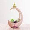 Lawn & Patio - LightningStore Cute Pink Full Moon Half Moon Succulent Plants Pot Microlandschaft Personalized Office House Balcony Landscape Pot Creative Decorative Flower Pots
