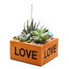 Lawn & Patio - LightningStore Love Flower Pot Succulent Plants Pot Microlandschaft Personalized Office House Balcony Landscape Pot Creative Decorative Flower Pots