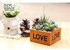 Lawn & Patio - LightningStore Love Flower Pot Succulent Plants Pot Microlandschaft Personalized Office House Balcony Landscape Pot Creative Decorative Flower Pots