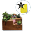 Lawn & Patio - LightningStore Wooden Flower Pot Succulent Plants Pot Microlandschaft Personalized Office House Balcony Landscape Pot Creative Decorative Flower Pots + LightningStore Mini Figures Set
