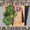Lawn & Patio - LightningStore Wooden Square Staircase Succulent Plants Pot Microlandschaft Personalized Office House Balcony Landscape Pot Creative Decorative Flower Pots