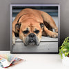 Sleeping Bulldog Framed Photo Poster Wall Art Decoration Decor For Bedroom Living Room