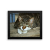 Starring Cat Framed Photo Poster Wall Art Decoration Decor For Bedroom Living Room
