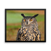 Starring Owl Framed Photo Poster Wall Art Decoration Decor For Bedroom Living Room