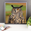 Starring Owl Framed Photo Poster Wall Art Decoration Decor For Bedroom Living Room