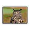 Starring Owl Framed Photo Poster Wall Art Decoration Decor For Bedroom Living Room