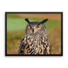 Starring Owl Framed Photo Poster Wall Art Decoration Decor For Bedroom Living Room
