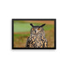 Starring Owl Framed Photo Poster Wall Art Decoration Decor For Bedroom Living Room