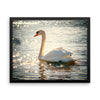 Swan Framed Photo Poster Wall Art Decoration Decor For Bedroom Living Room