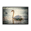 Swan Framed Photo Poster Wall Art Decoration Decor For Bedroom Living Room