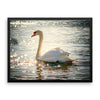 Swan Framed Photo Poster Wall Art Decoration Decor For Bedroom Living Room