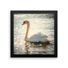Swan Framed Photo Poster Wall Art Decoration Decor For Bedroom Living Room