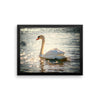 Swan Framed Photo Poster Wall Art Decoration Decor For Bedroom Living Room