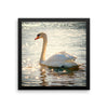 Swan Framed Photo Poster Wall Art Decoration Decor For Bedroom Living Room