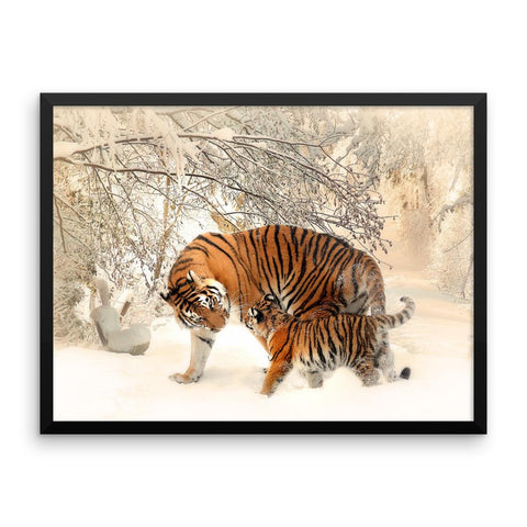 Tiger And Baby Cub In Snow Framed Photo Poster Wall Art Decoration Decor For Bedroom Living Room